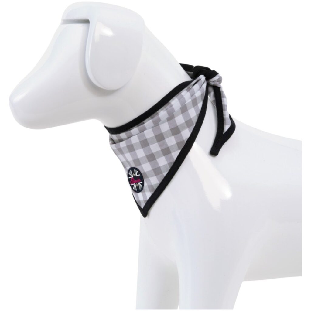 Dog Necker Chief Spooks Riding Australasia