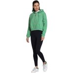 Marlhen Sweat Jacket - Holly Green - Image 6